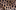 Bad Dates Review Background